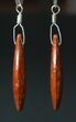 Red, Agatized Dinosaur Bone (Gembone) Earrings #84747-5